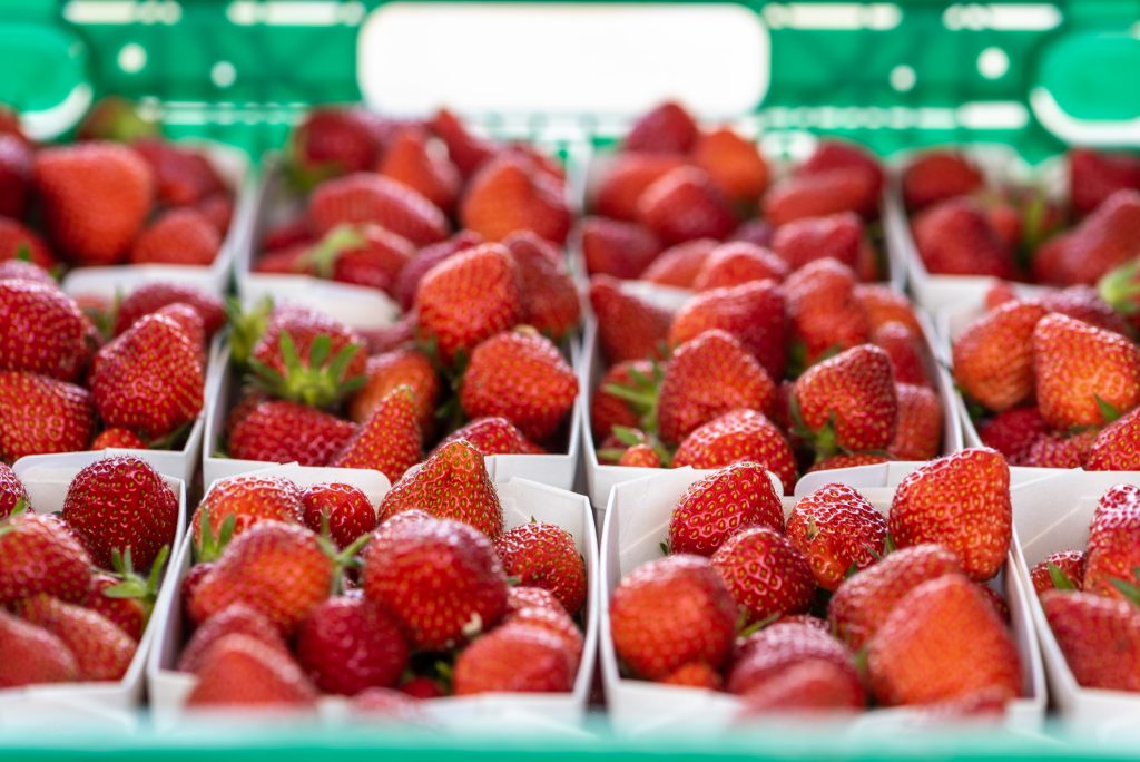 erdbeeren-44